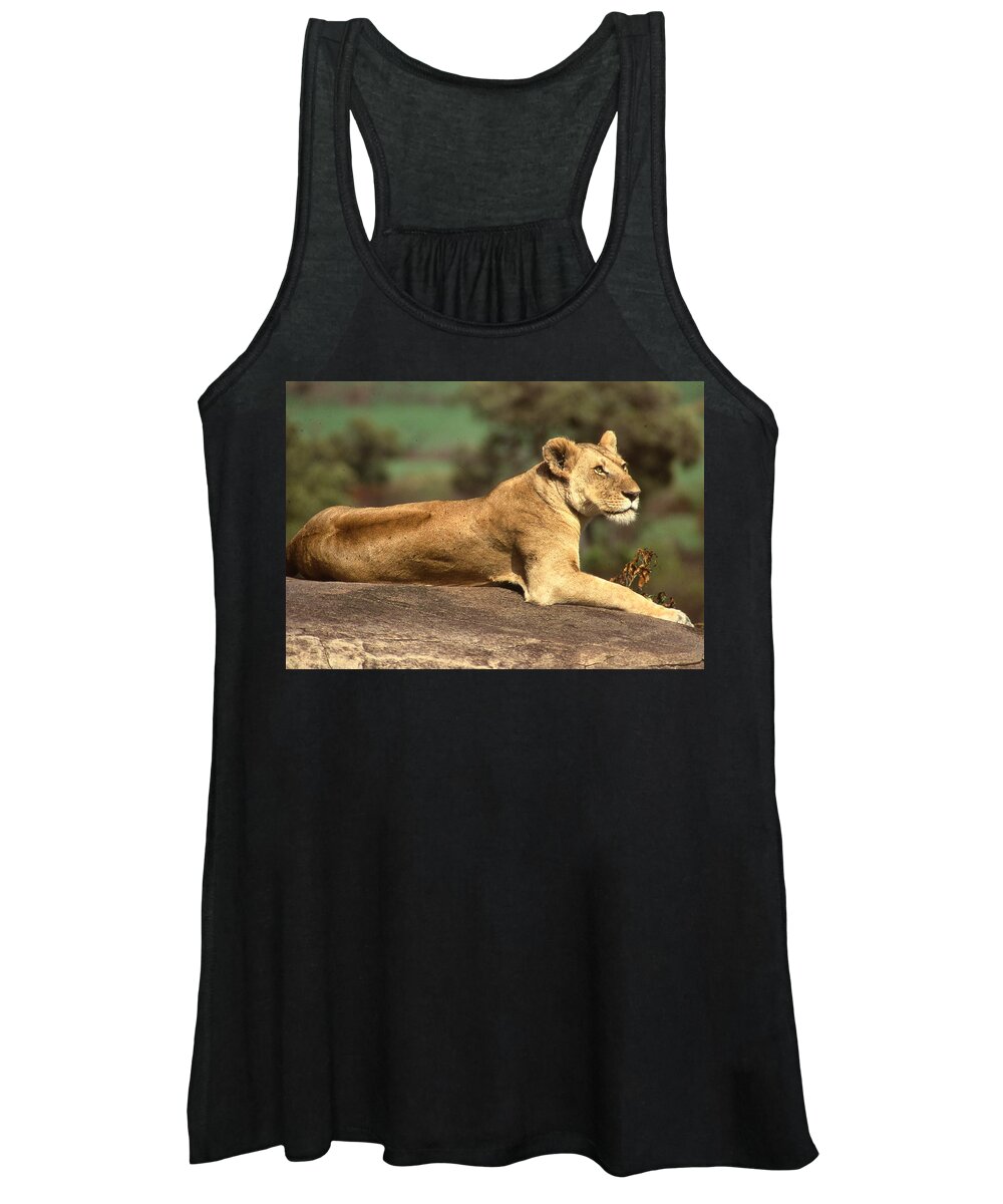 Africa Women's Tank Top featuring the photograph Lioness Lying on Rock by Russel Considine