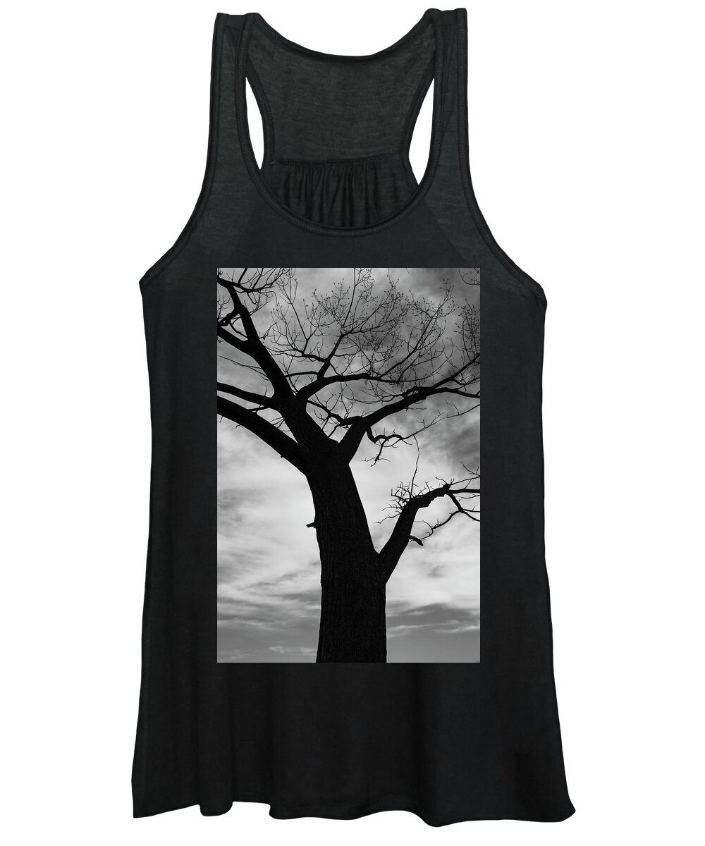 Bosque Del Apache Women's Tank Top featuring the photograph Looking Skyward by Maresa Pryor-Luzier