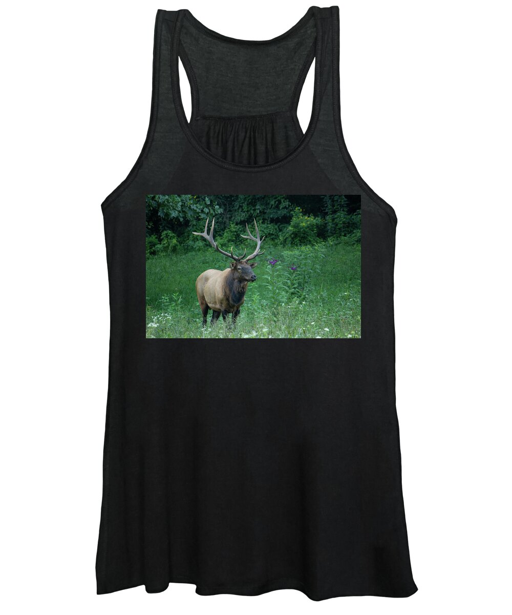 Elk Women's Tank Top featuring the photograph Male Elk by Cindy Robinson