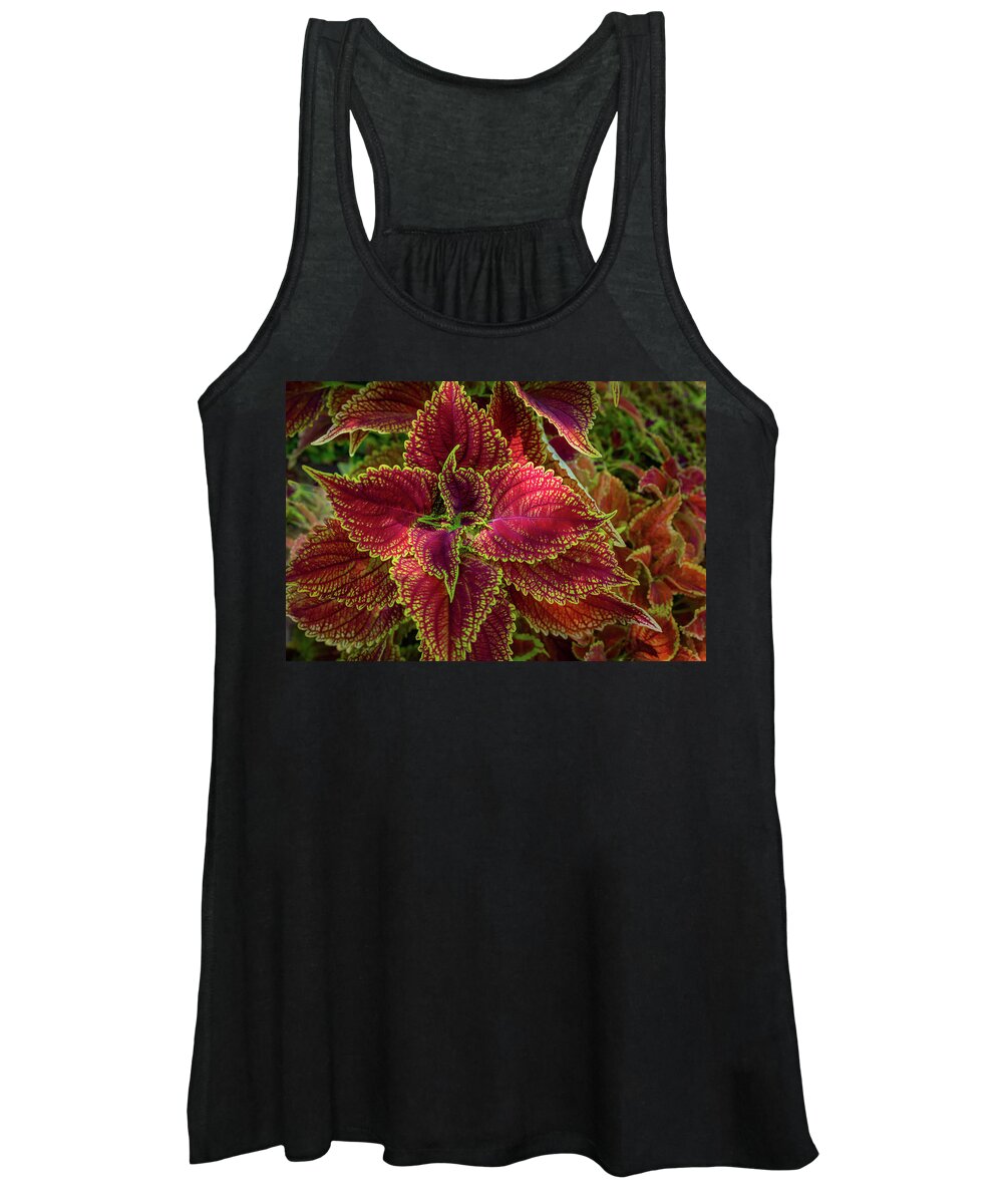 Foliage Women's Tank Top featuring the photograph Painted Nettle-1 by John Kirkland