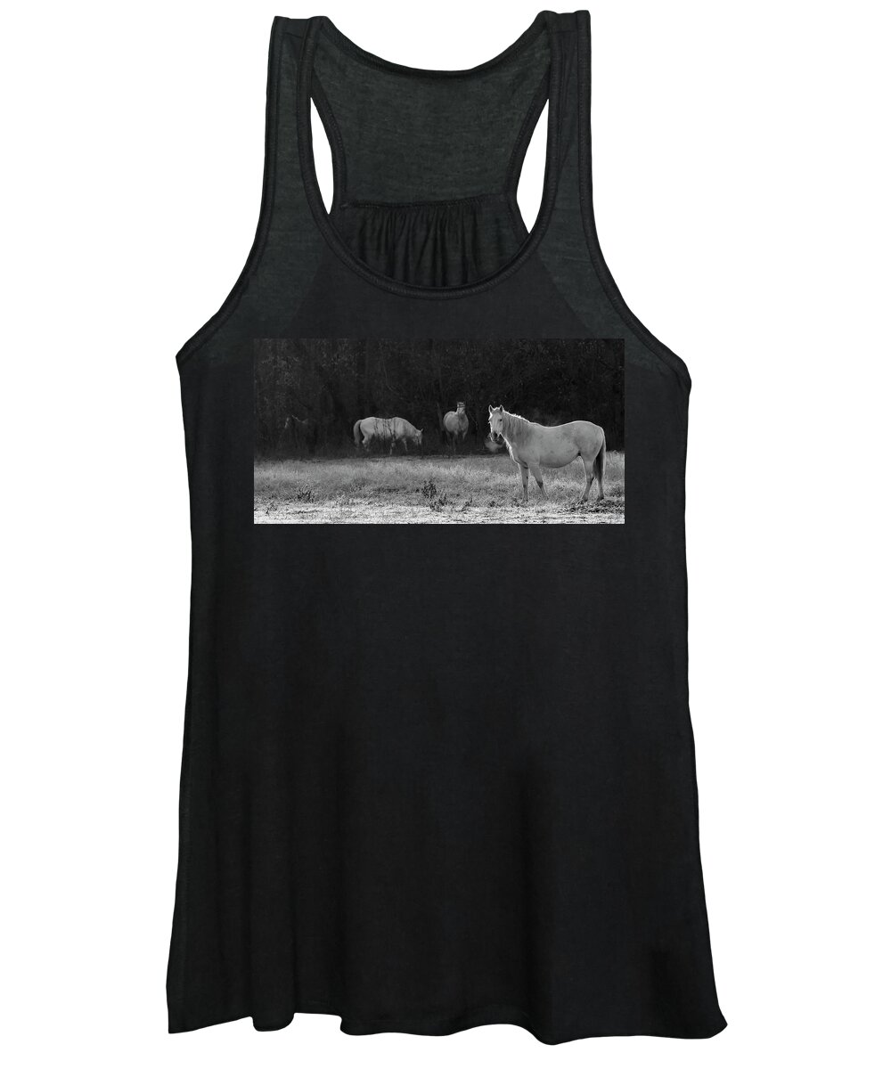 Shawnee Women's Tank Top featuring the photograph Shawnee Herd by Holly Ross