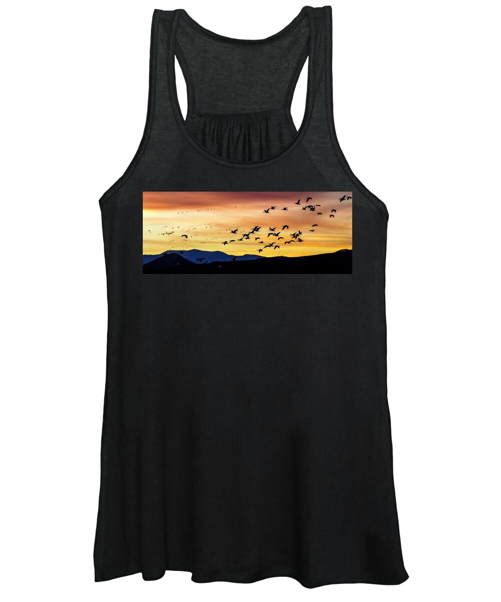 Snow Geese Women's Tank Top featuring the photograph Snow Geese Flying into the Sunset by Judi Dressler