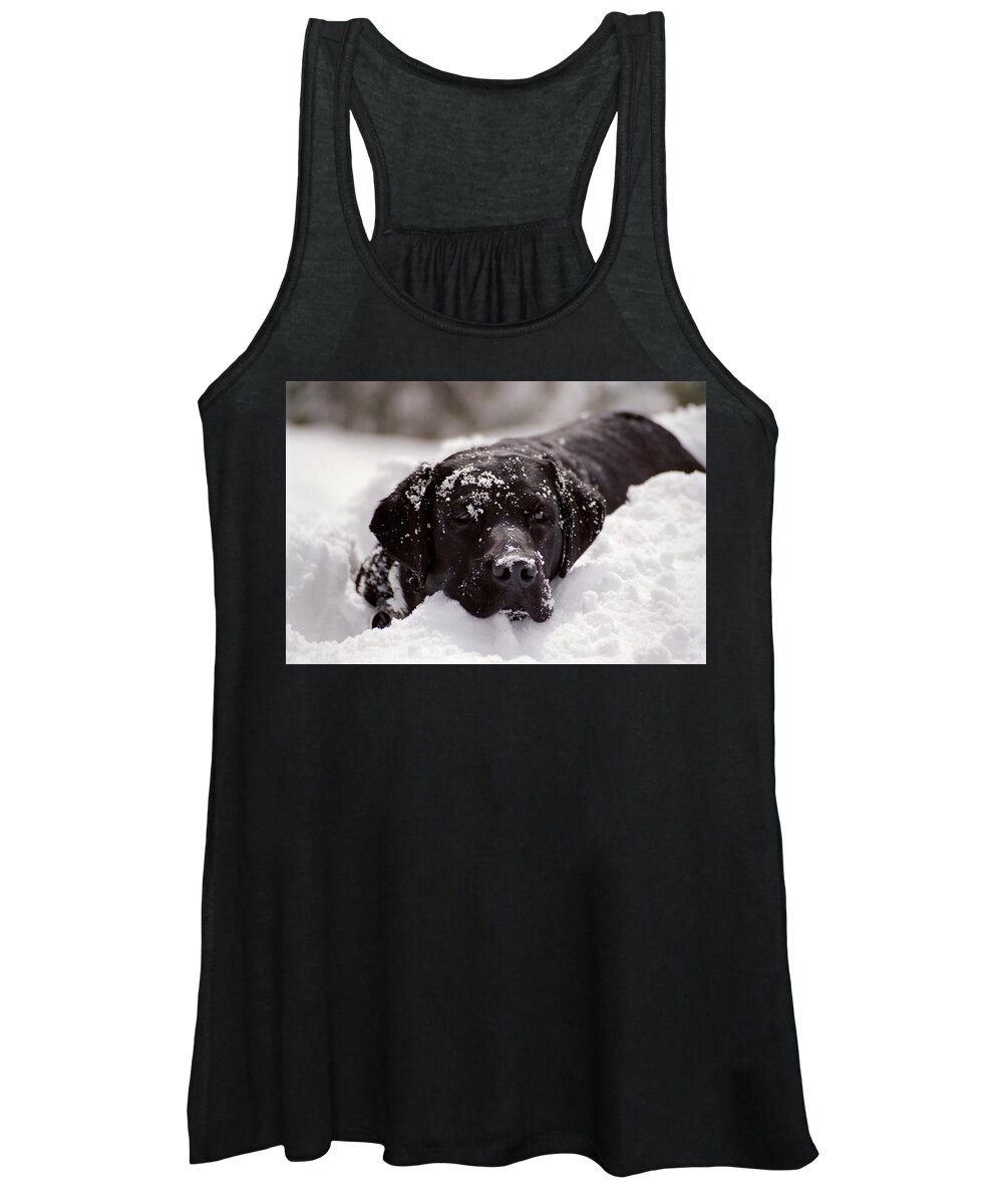 Labrador Women's Tank Top featuring the photograph Snow Surfing by Bonnie Colgan