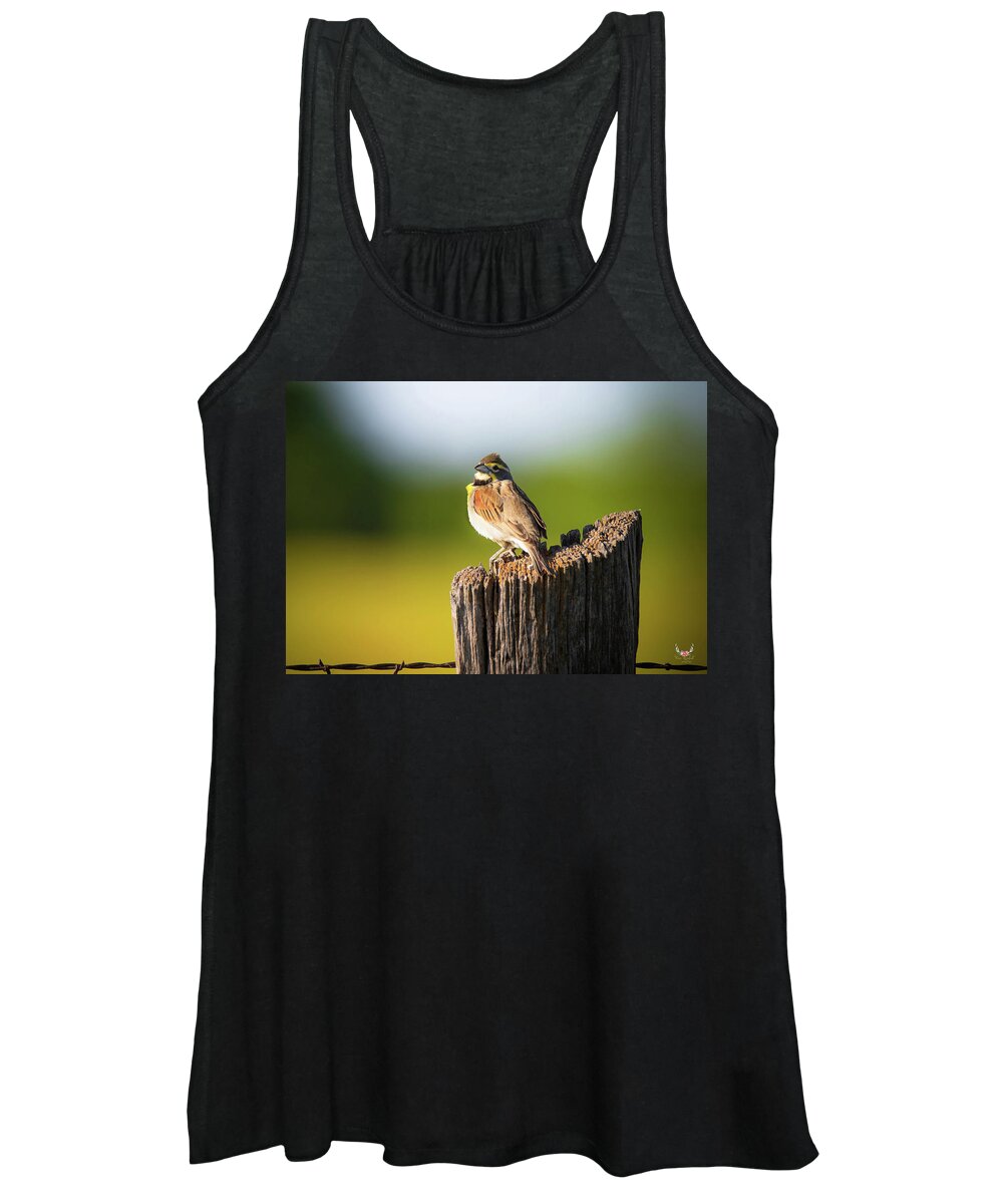 Warmth Women's Tank Top featuring the photograph Sunset Warmth by Pam Rendall