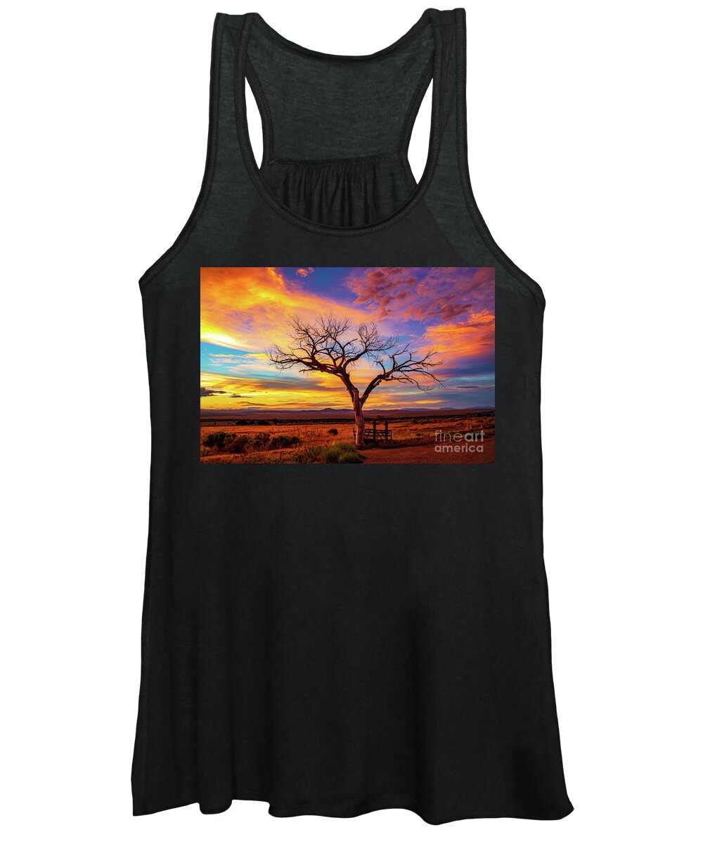 Taos Women's Tank Top featuring the photograph Taos Welcome Tree with amazing sunset by Elijah Rael