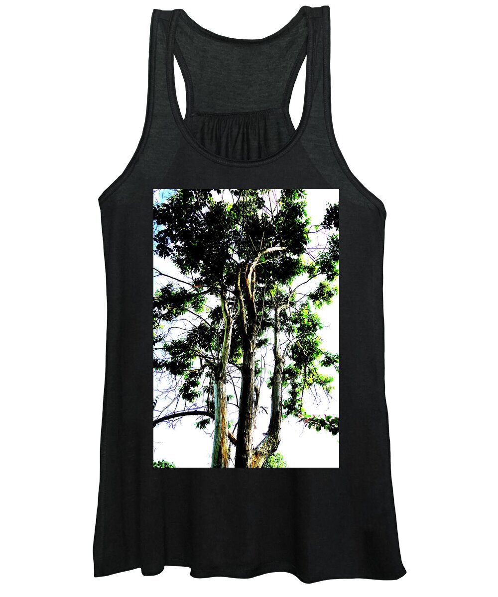 Tree Women's Tank Top featuring the photograph Tree In Botanic Garden In Warsaw, Poland by John Siest
