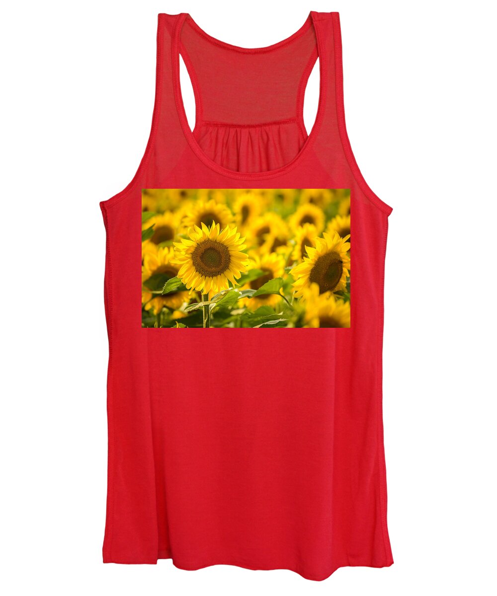 Sunflower Women's Tank Top featuring the photograph Backlit Sunflower by Mark Rogers