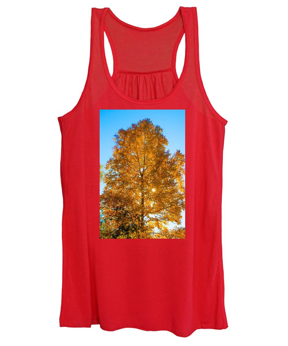 Fall Women's Tank Top featuring the photograph Fall Tree by Parker Cunningham