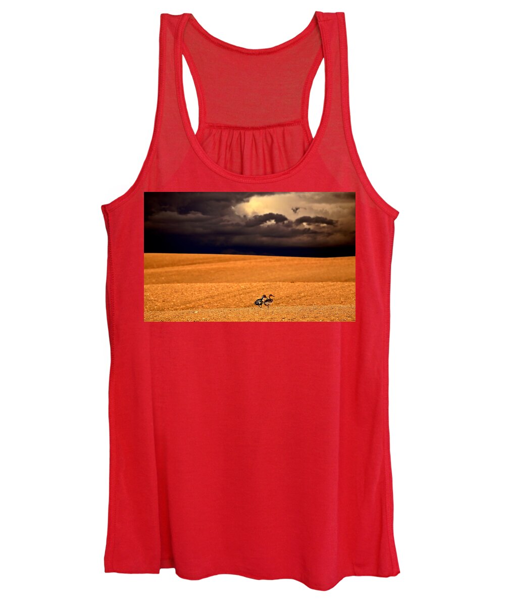 Northern Women's Tank Top featuring the photograph Northern Pintail pair out walking in Saskatchewan by Mark Duffy