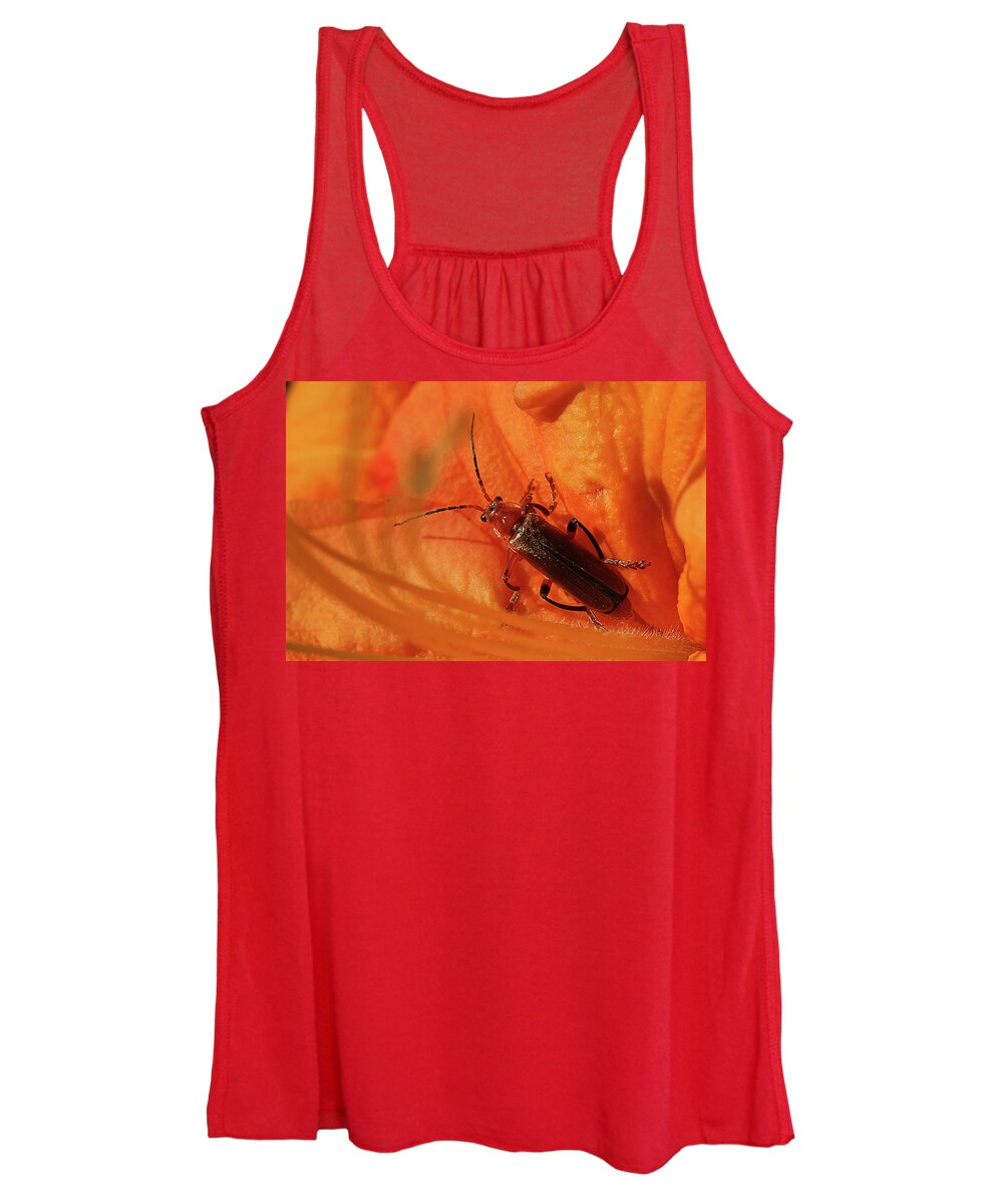 Soldier Beetle Women's Tank Top featuring the photograph Soldier Beetle by Cindi Ressler
