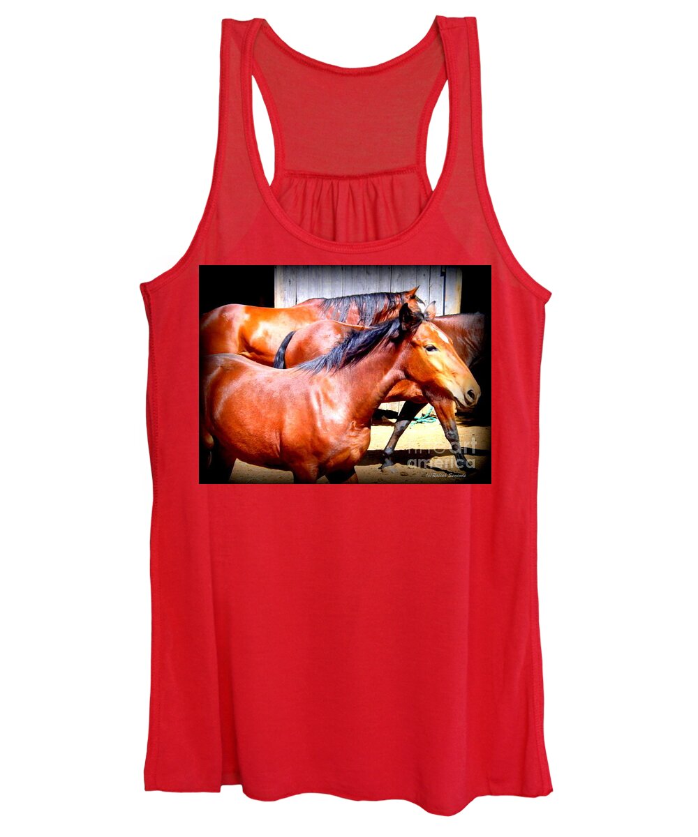 Horses Women's Tank Top featuring the photograph Eclipse #1 by Rabiah Seminole