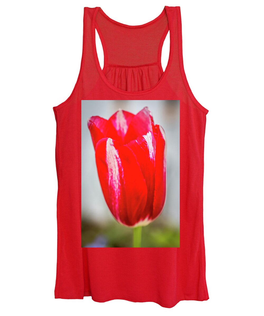 Red Women's Tank Top featuring the photograph Red Tulip #1 by Susie Weaver