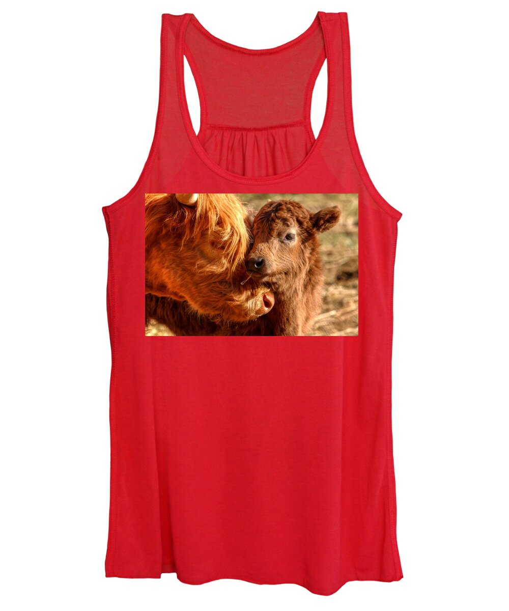 Cattle Women's Tank Top featuring the photograph A Mother's Love 0088 by Kristina Rinell