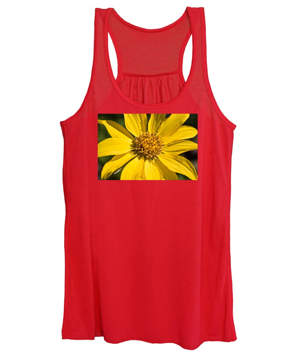 Flower Women's Tank Top featuring the photograph Balsamroot 2 by Jedediah Hohf