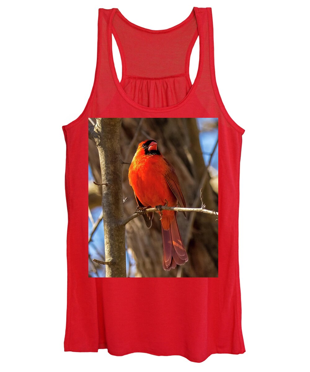 Cardinal Women's Tank Top featuring the photograph Bright Boy by Rob Davies
