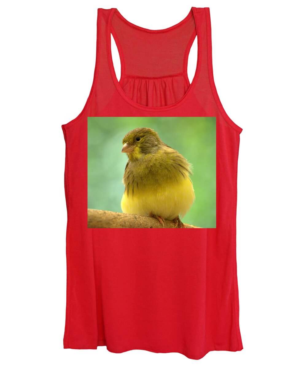 Pet Women's Tank Top featuring the photograph Canary by Nathan Abbott