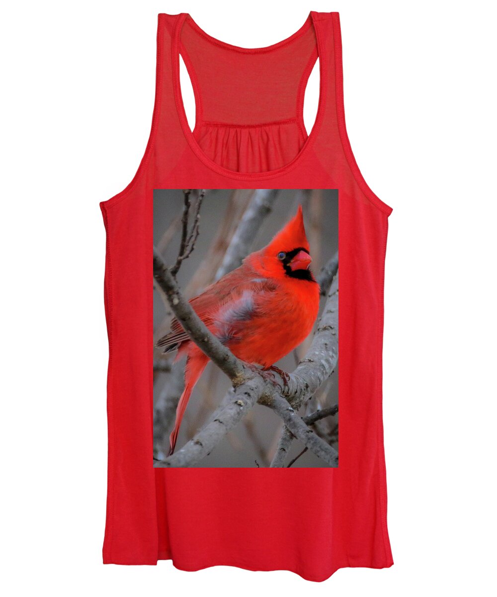  Women's Tank Top featuring the photograph Cardinal 3 by Tony HUTSON