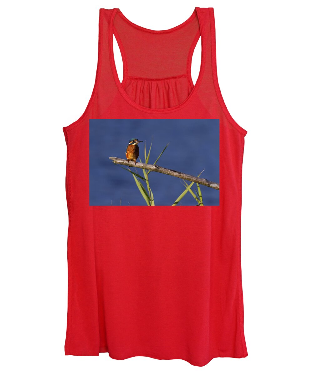 Branch Women's Tank Top featuring the photograph Eurasian, river or common kingfisher, alcedo atthis, Neuchatel, by Elenarts - Elena Duvernay photo