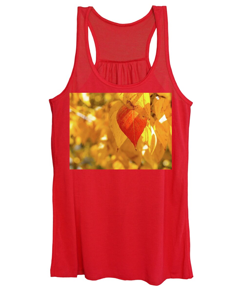 Fall Women's Tank Top featuring the photograph Fall color by Martin Gollery