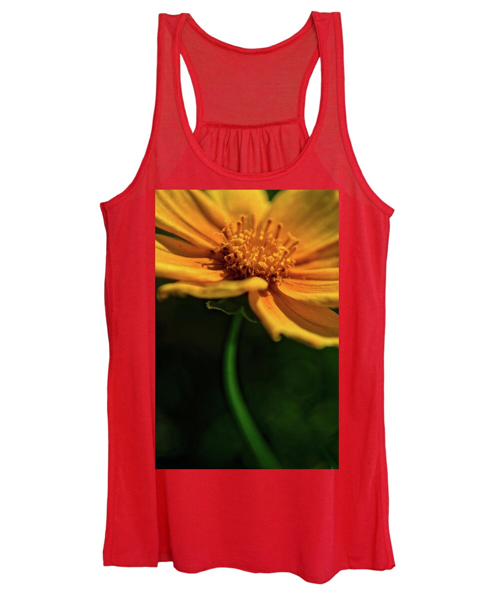 Ohio Women's Tank Top featuring the photograph Golden by Stewart Helberg