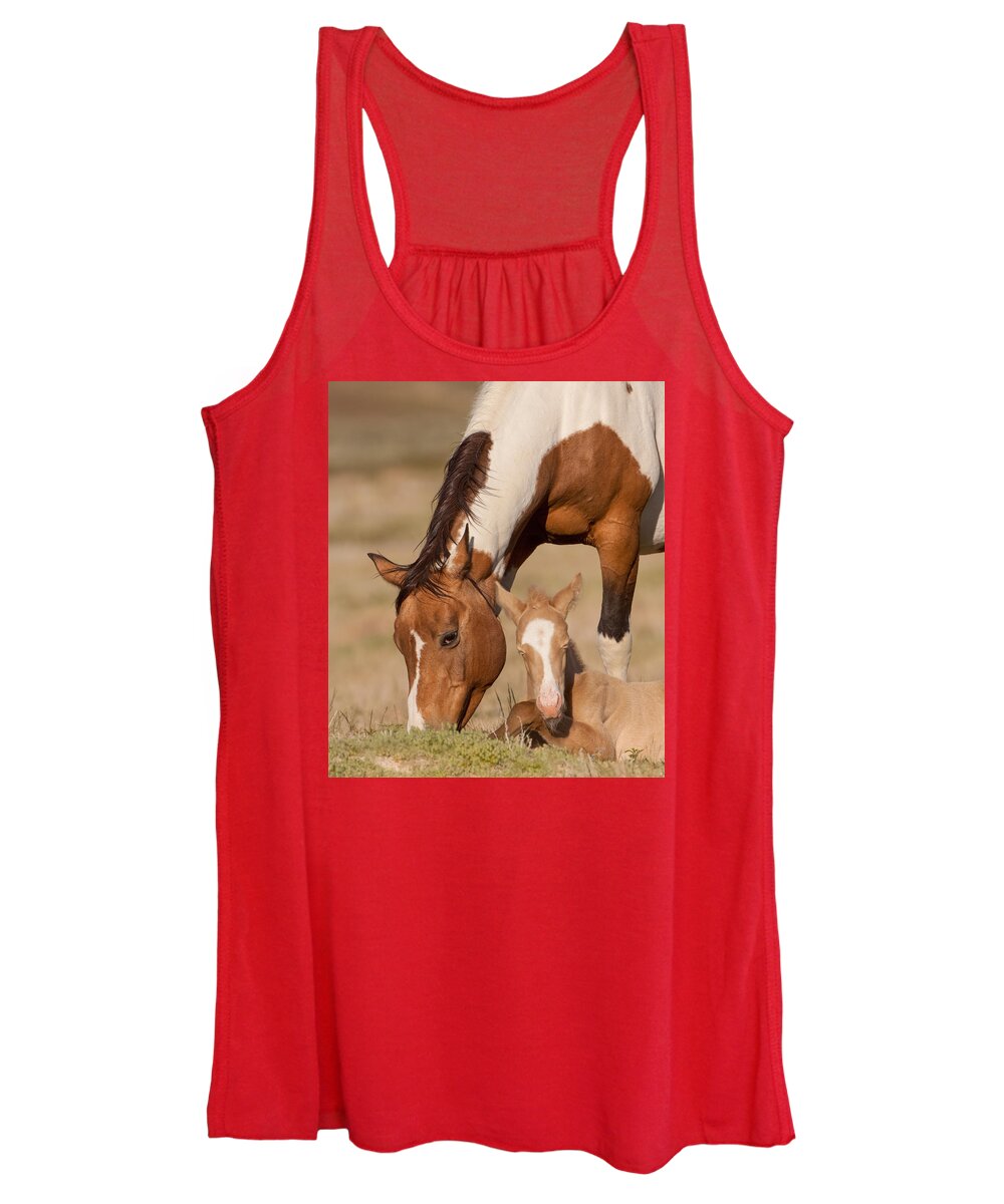 Wild Horse Women's Tank Top featuring the photograph Gypsy by Kent Keller