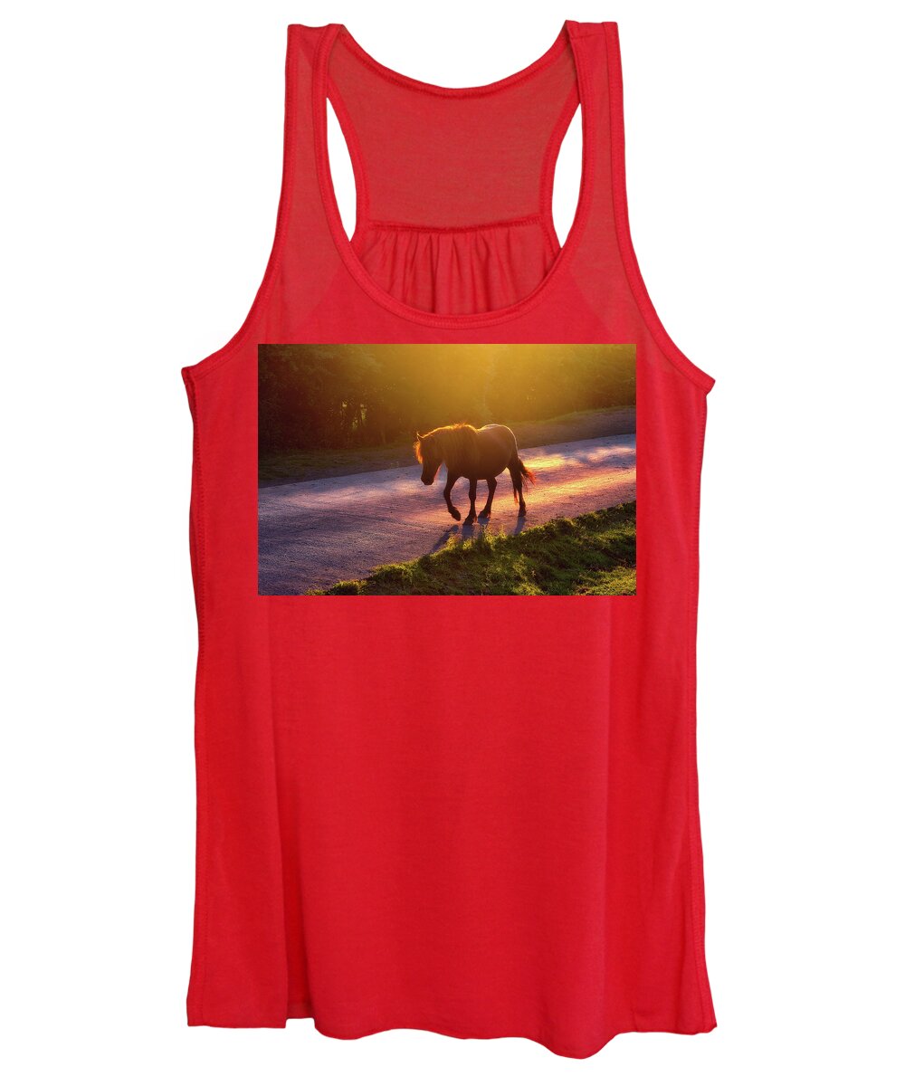 Horse Women's Tank Top featuring the photograph Horse Crossing The Road At Sunset by Mikel Martinez de Osaba