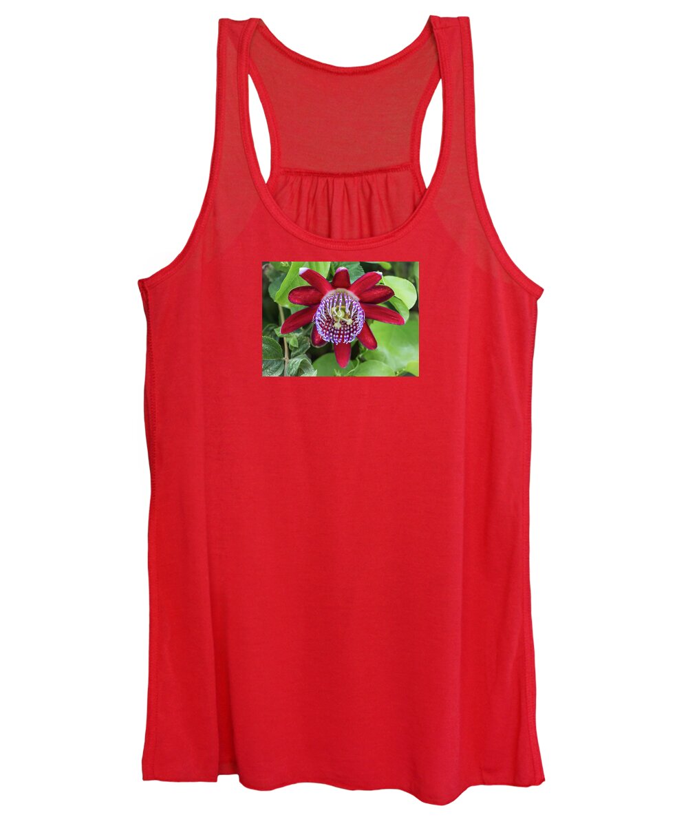 Flowers Women's Tank Top featuring the photograph Passiflora Ruby Glow. Passion Flower by Venetia Featherstone-Witty