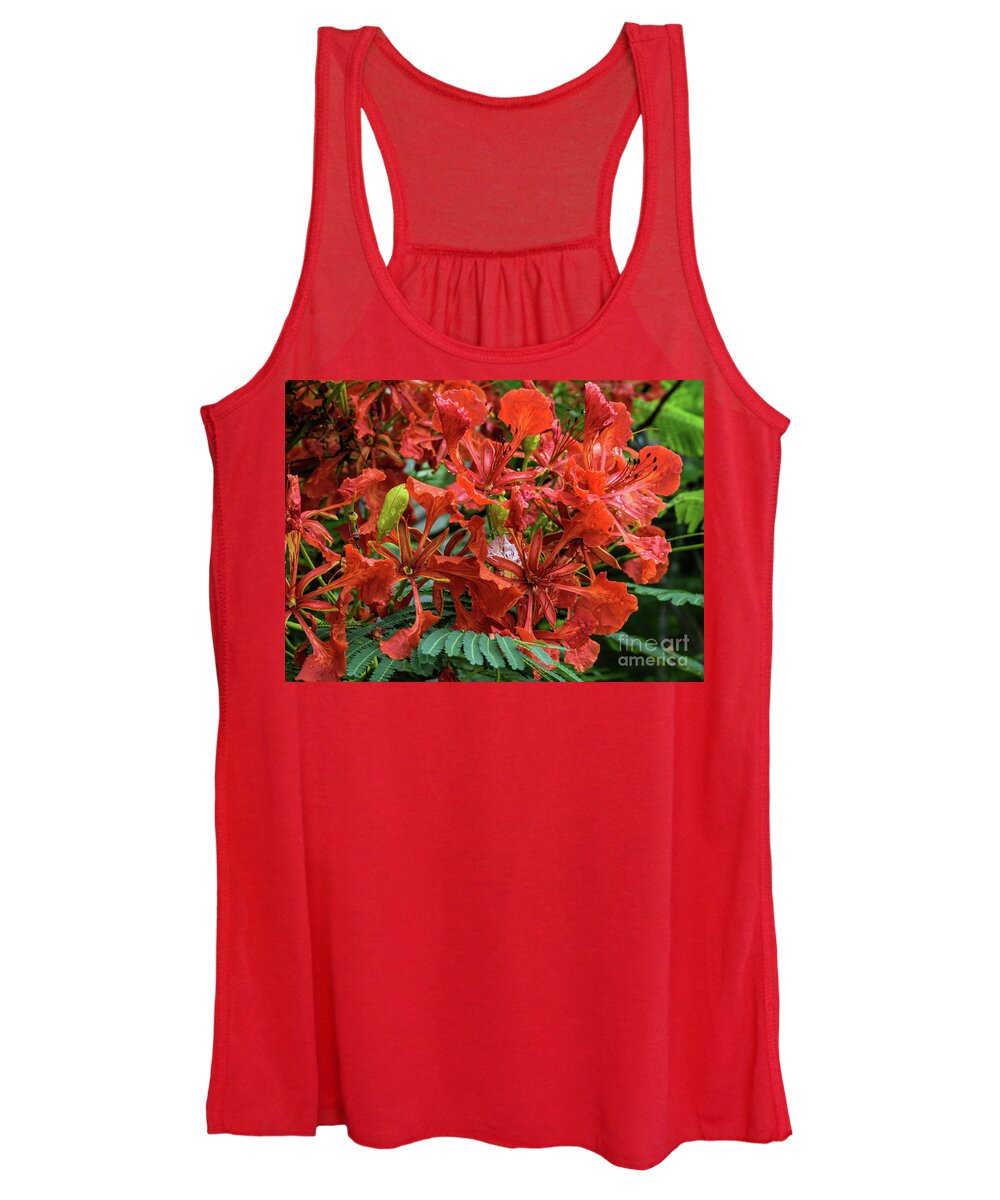 Flower Women's Tank Top featuring the photograph Poinciana Flowers by William Tasker