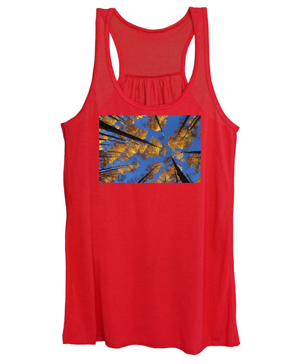 Aspen Foliage Women's Tank Top featuring the photograph There is Gold Above by Tammy Pool