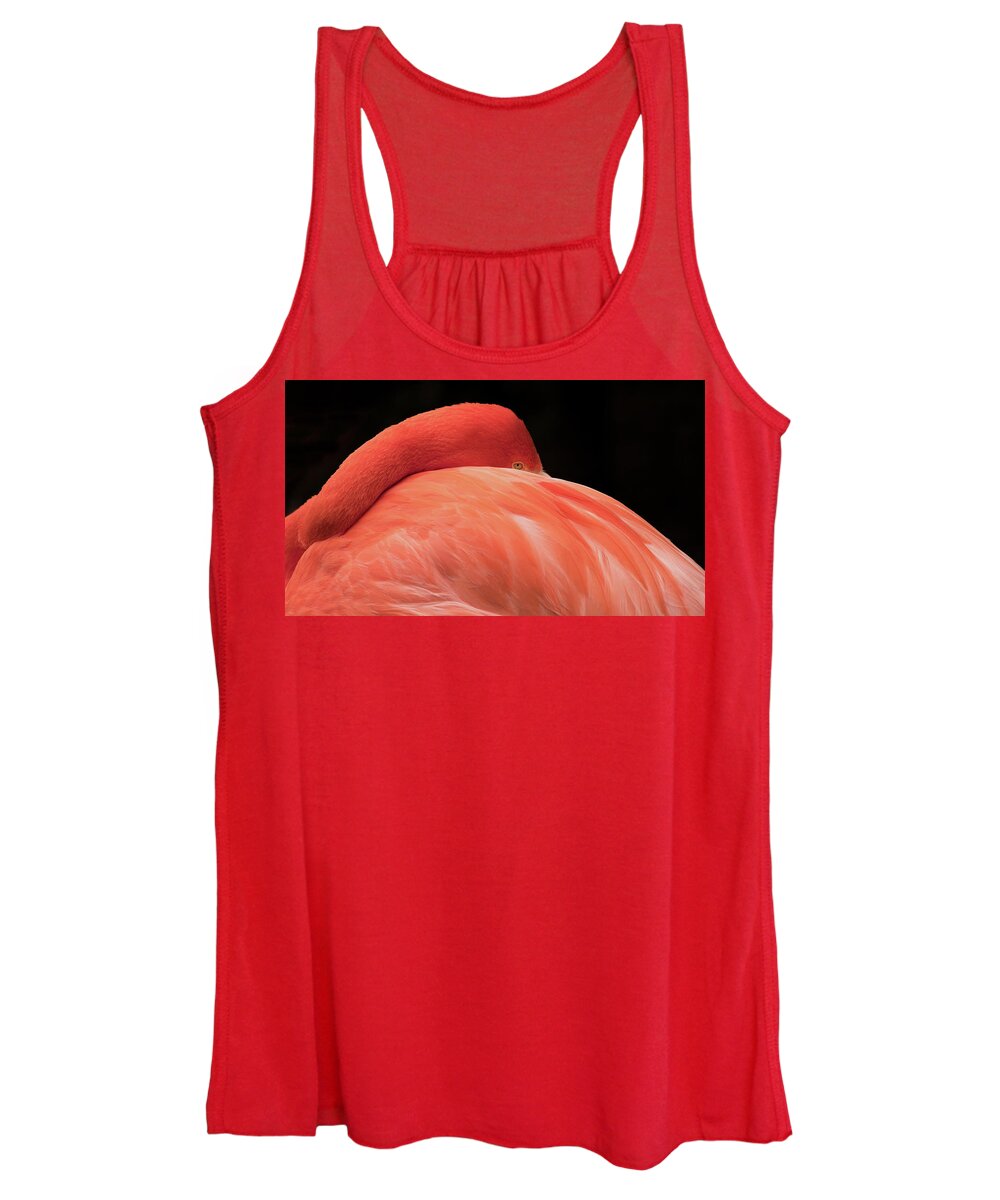 Flamingo Women's Tank Top featuring the photograph You Can Learn A Lot By Watching by Holly Ross
