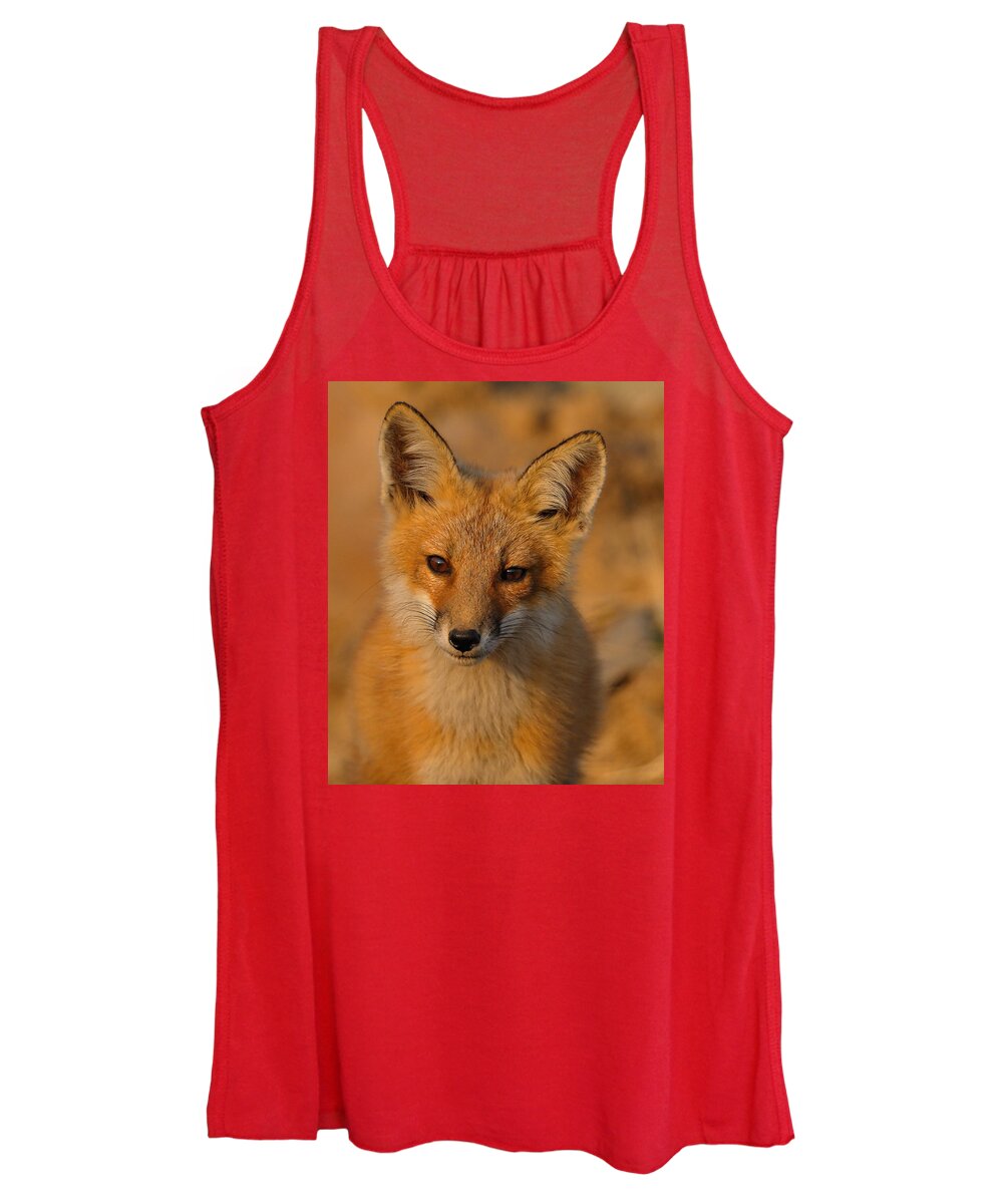 Fox Women's Tank Top featuring the photograph Young Fox by William Jobes