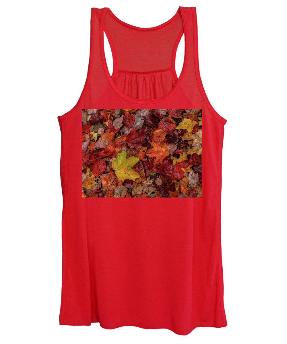 Autumn Women's Tank Top featuring the photograph Fall Colors by Rob Davies