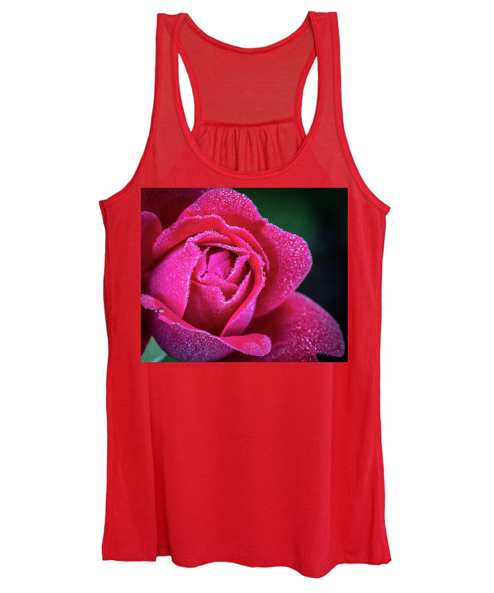 Rose Women's Tank Top featuring the photograph Morning Rose by Brad Bellisle