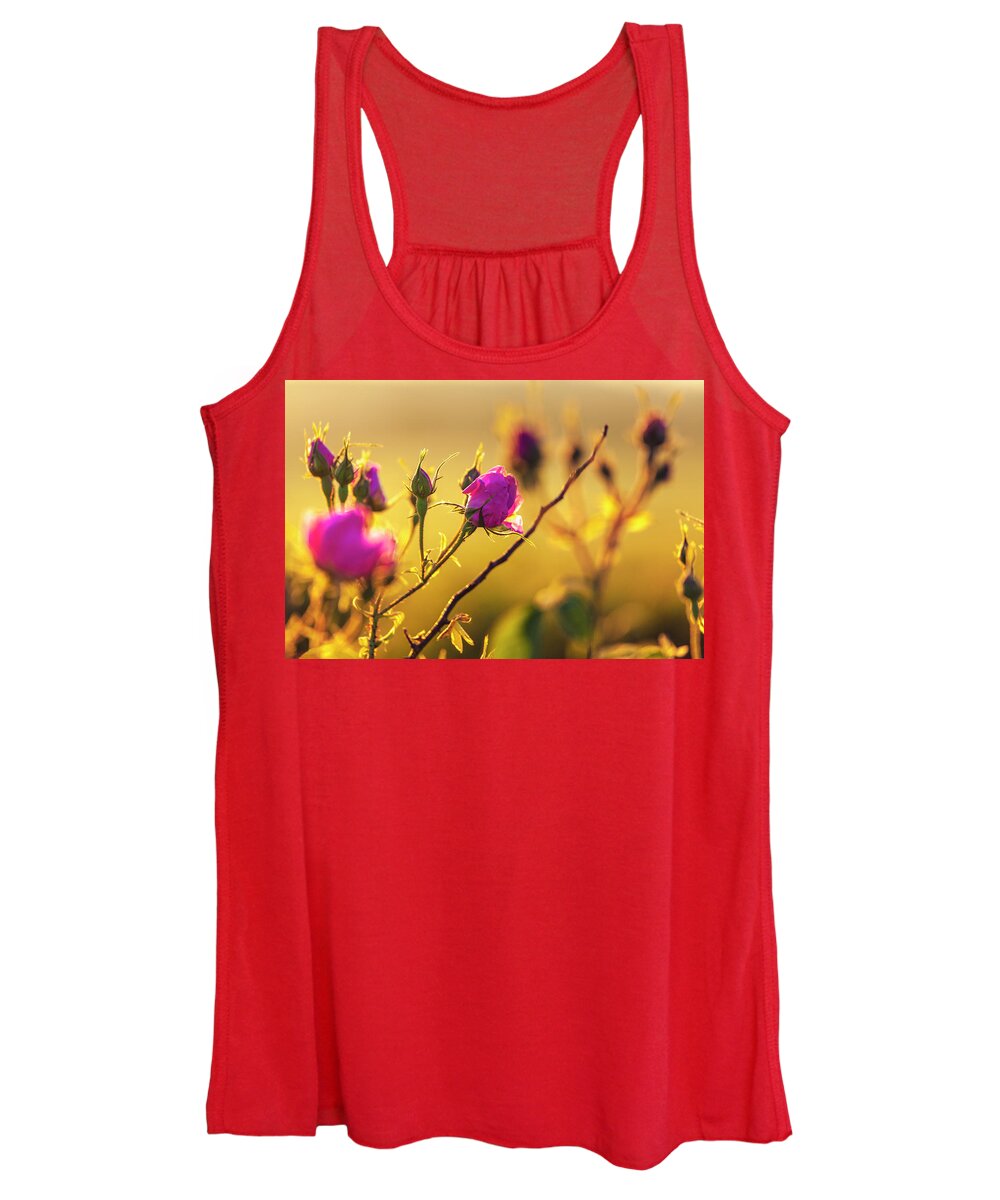 Bulgaria Women's Tank Top featuring the photograph Roses In Gold by Evgeni Dinev