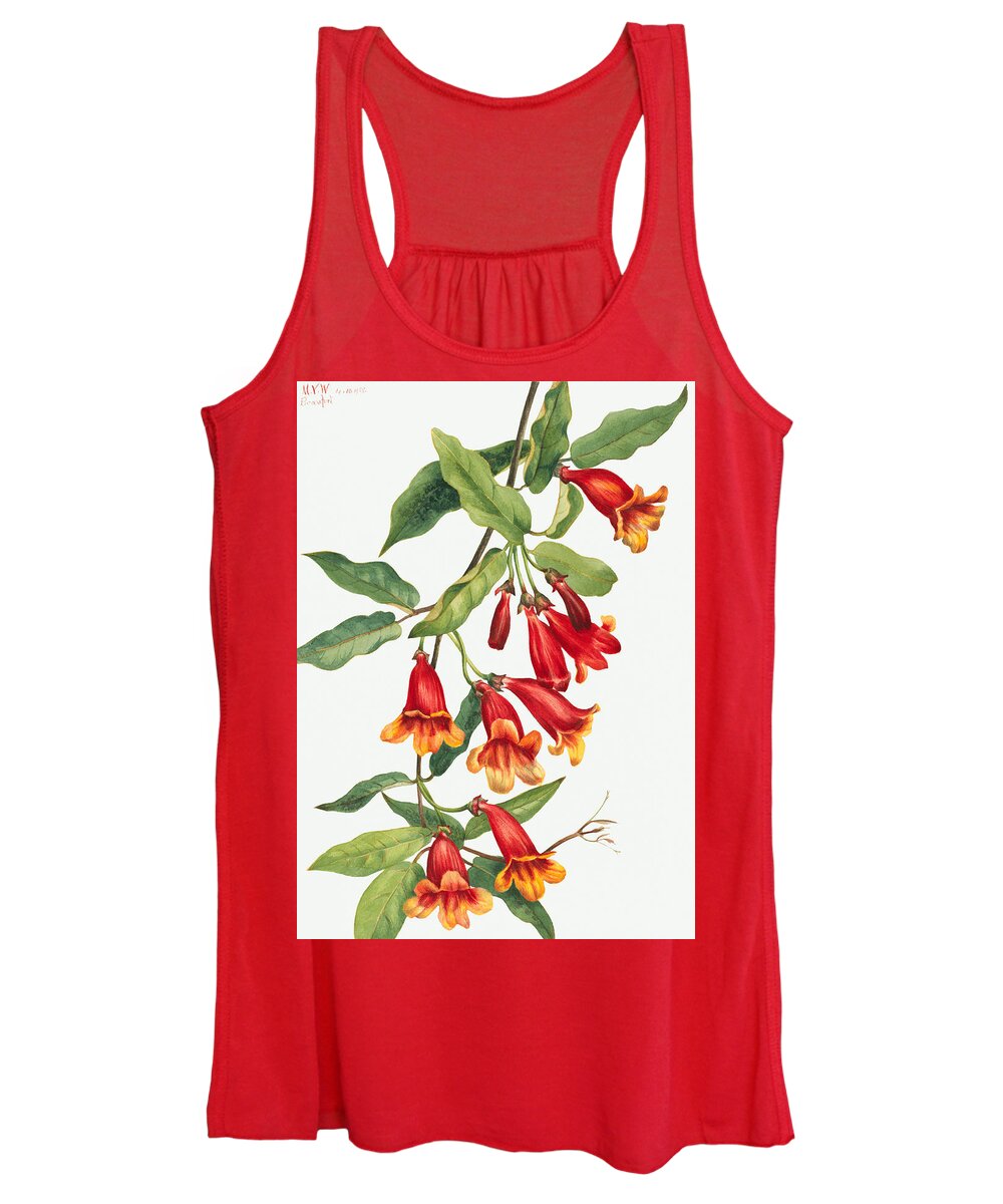 Crossvine Women's Tank Top featuring the painting Crossvine flowers by Mary Vaux Walcott by World Art Collective