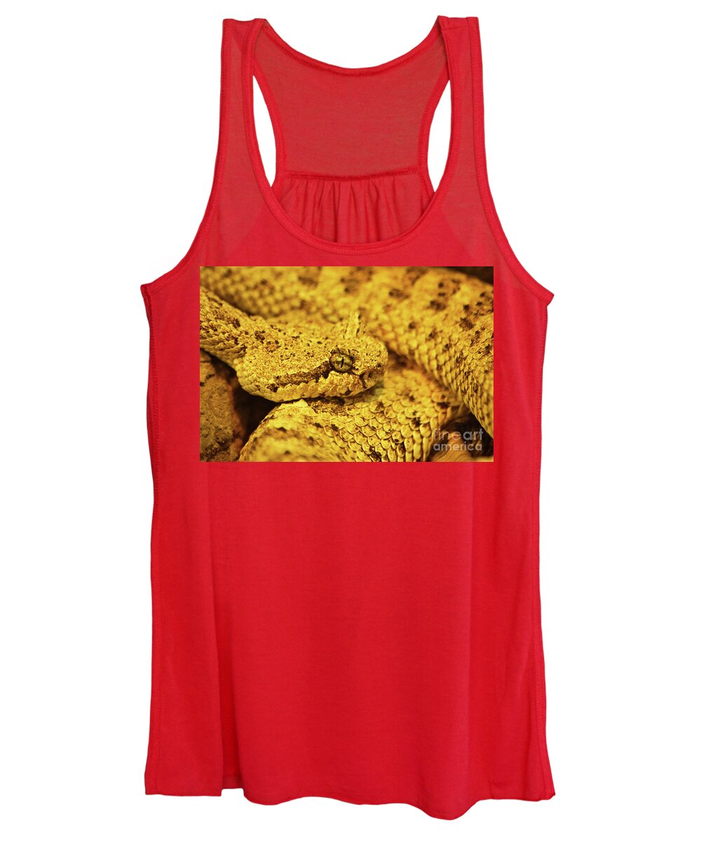 Sidewinder Women's Tank Top featuring the photograph Curled up sidewinder, Crotalus cerastes, venomous pitviper snake by Mendelex Photography