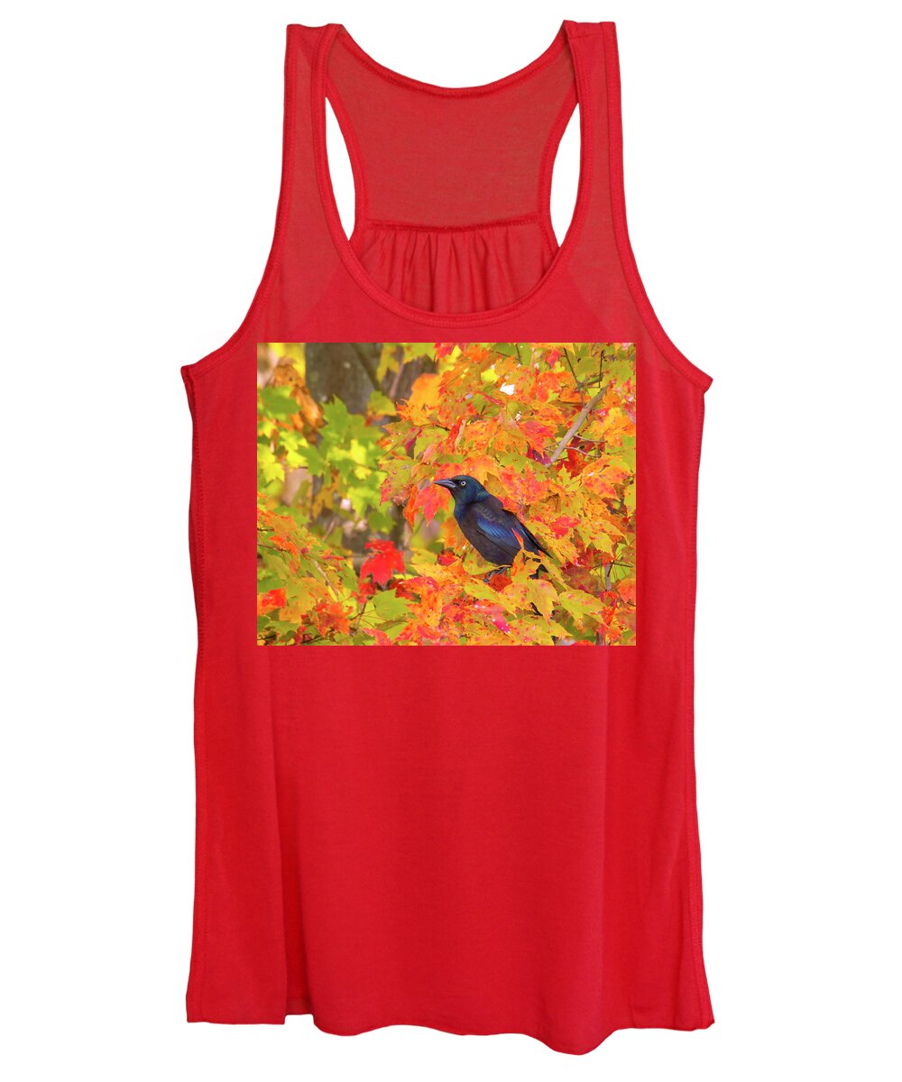 Birds Women's Tank Top featuring the photograph Grackle Sitting Among Fall Leaves by Charles Floyd