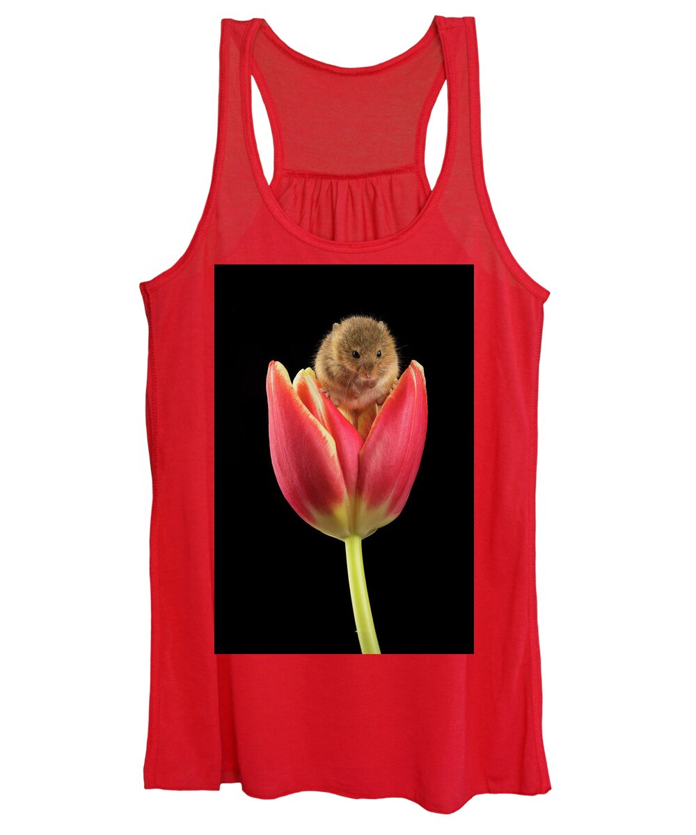 Harvest Women's Tank Top featuring the photograph Harvest Mouse-1641 by Miles Herbert
