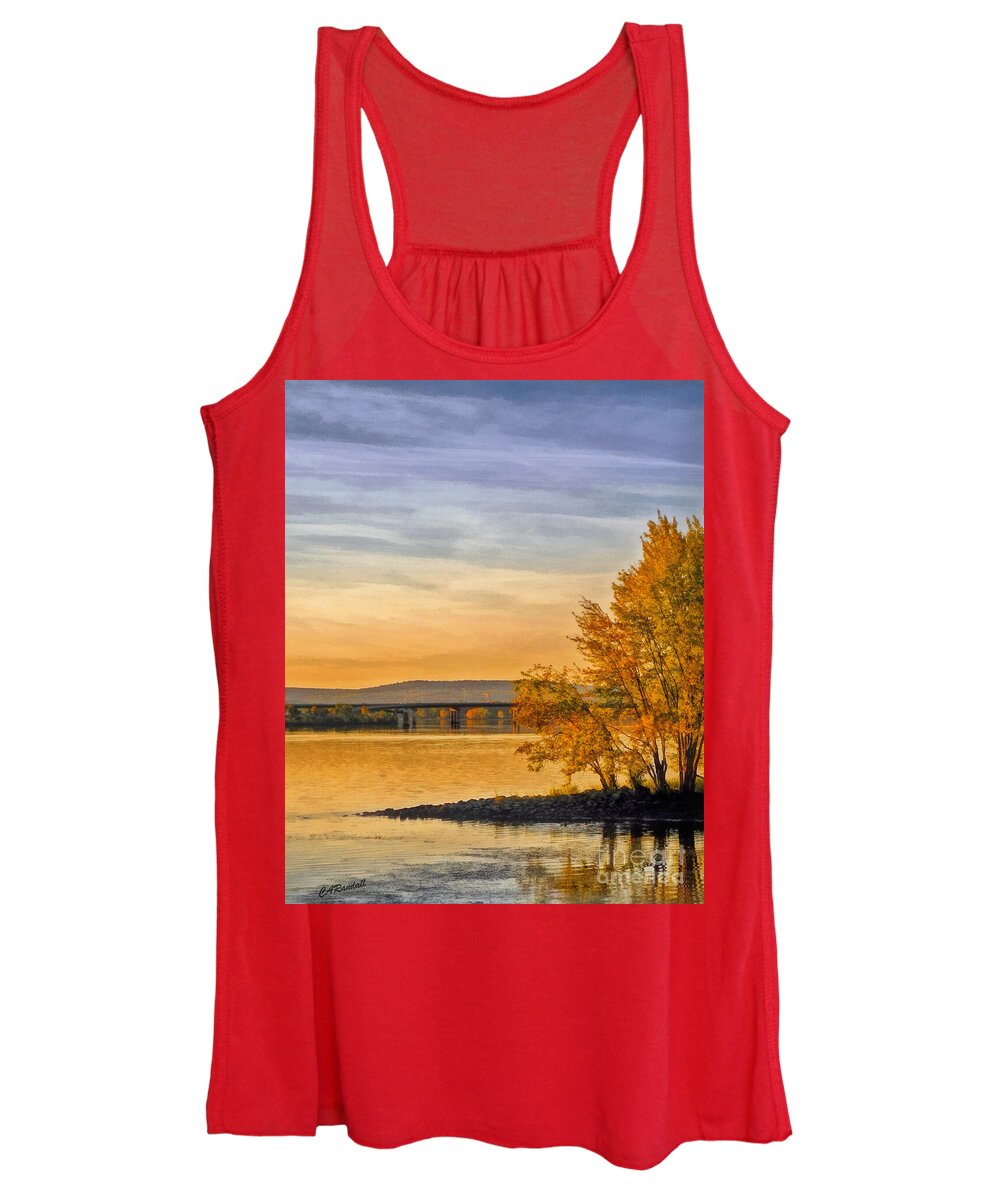 Trees Women's Tank Top featuring the photograph On Golden Point by Carol Randall