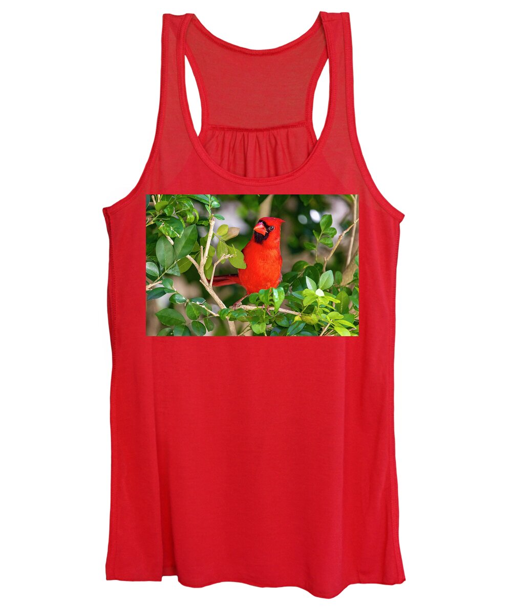 Bird Women's Tank Top featuring the photograph Red Cardinal Perched by Blair Damson