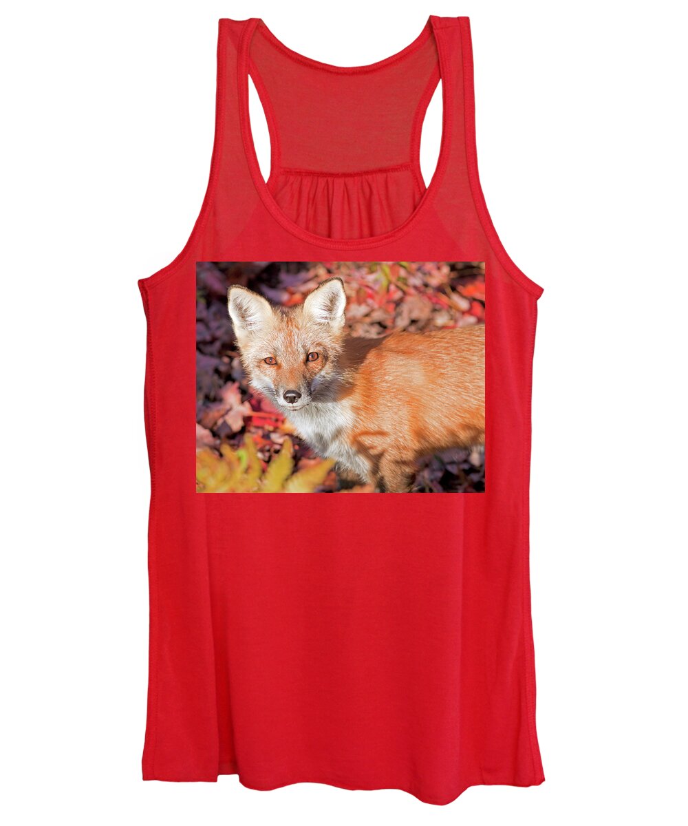 New Hampshire Women's Tank Top featuring the photograph Red Fox by John Rowe