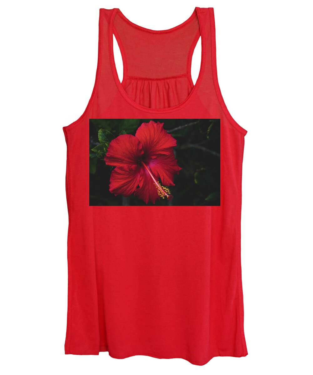Flowers & Plants Women's Tank Top featuring the painting Romantic Red Hibiscus by Adam Johnson