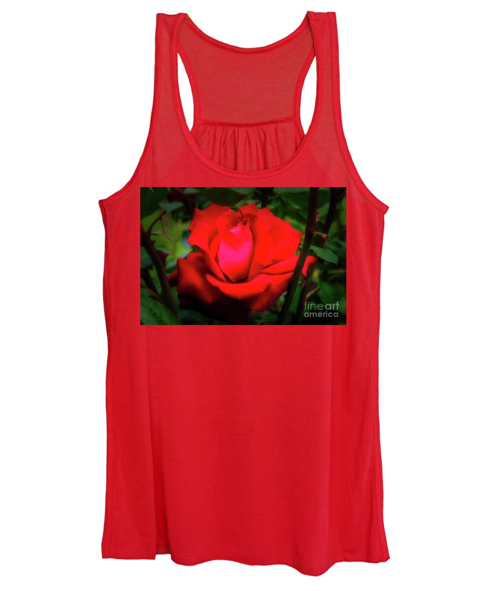 Christchurch Women's Tank Top featuring the photograph Rose at Mona Vale Gardens, Christchurch by Fran Woods