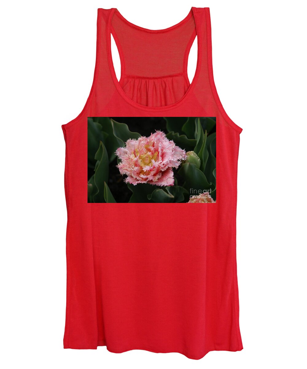 Pink Women's Tank Top featuring the photograph Tulip Lace by Darcy Leigh