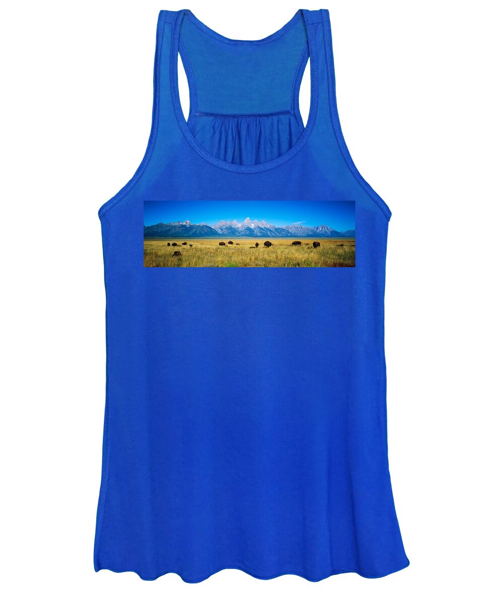 Photography Women's Tank Top featuring the photograph Field Of Bison With Mountains by Panoramic Images
