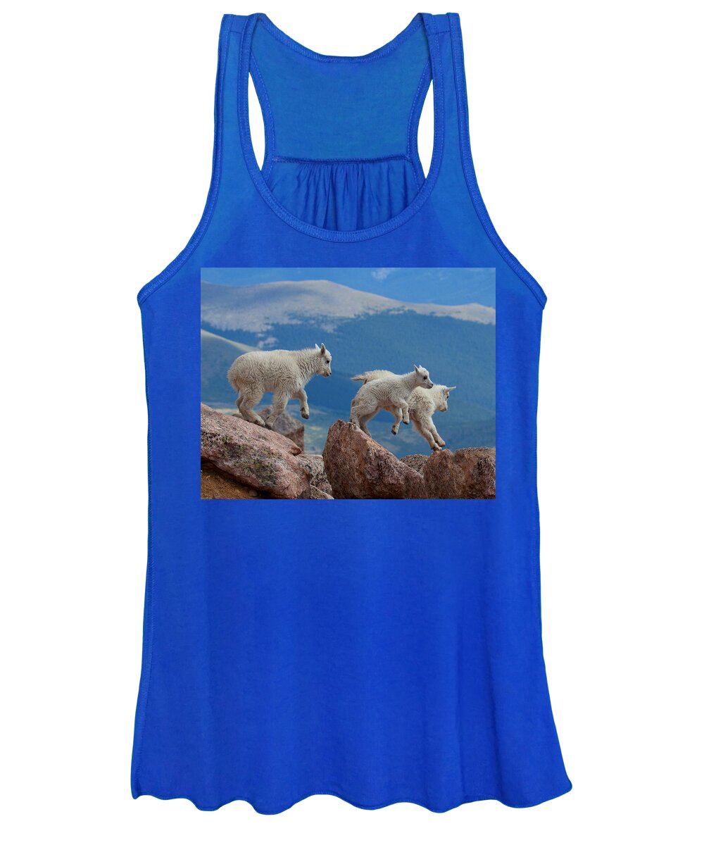Mountain Goats; Posing; Group Photo; Baby Goat; Nature; Colorado; Crowd; Baby Goat; Mountain Goat Baby; Happy; Joy; Nature; Brothers Women's Tank Top featuring the photograph Happy Landing by Jim Garrison