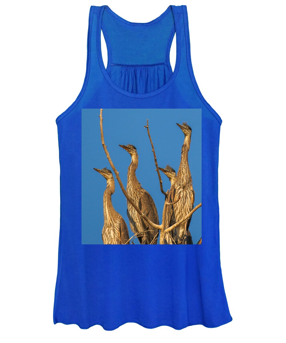 Great Blue Heron Women's Tank Top featuring the photograph Heron Stare by Kevin Dietrich