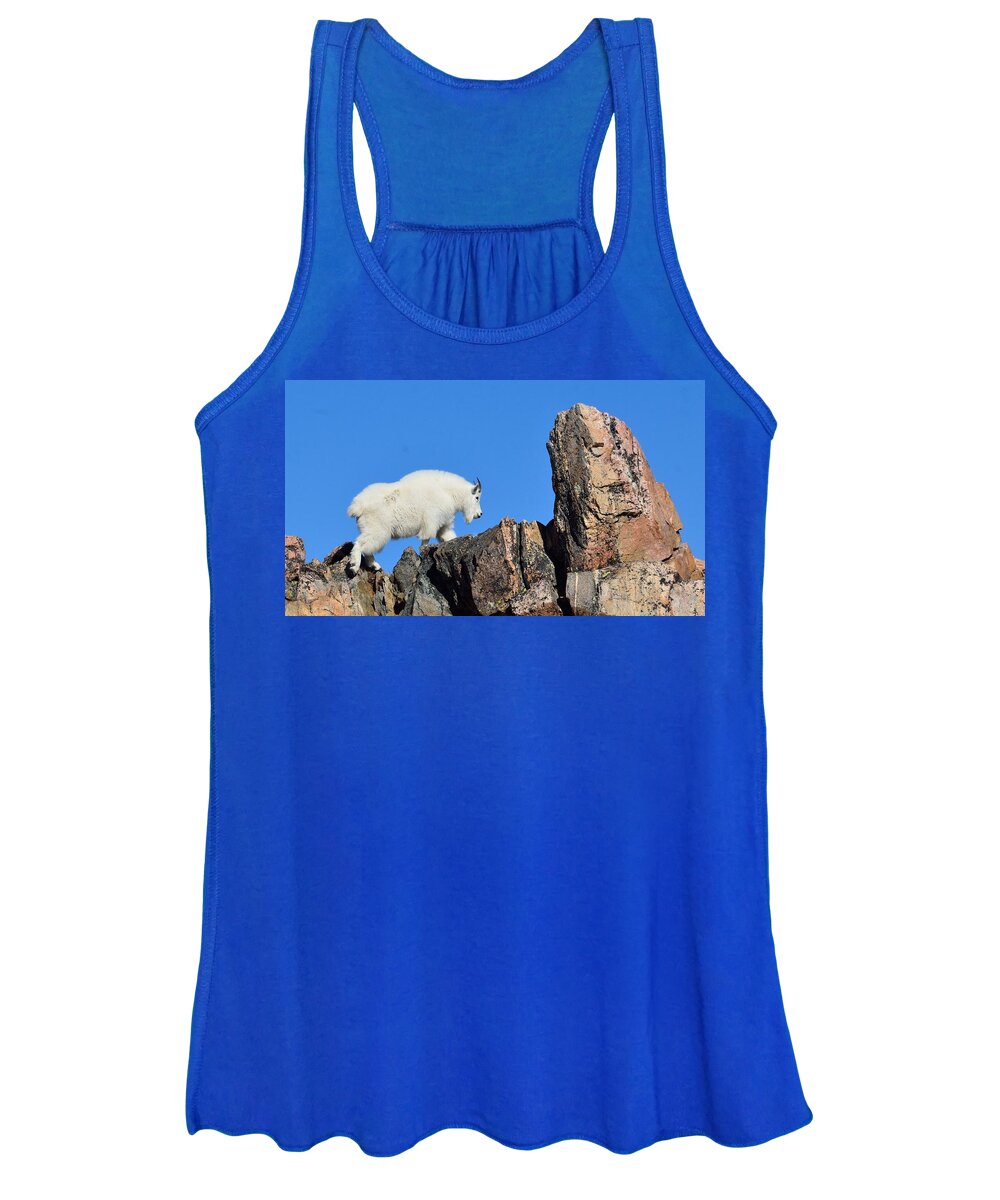 Mountain Women's Tank Top featuring the photograph Mountain Goat by Tranquil Light Photography