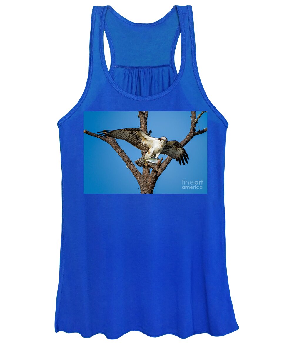 Osprey Women's Tank Top featuring the photograph Nice Catch by Ronald Lutz