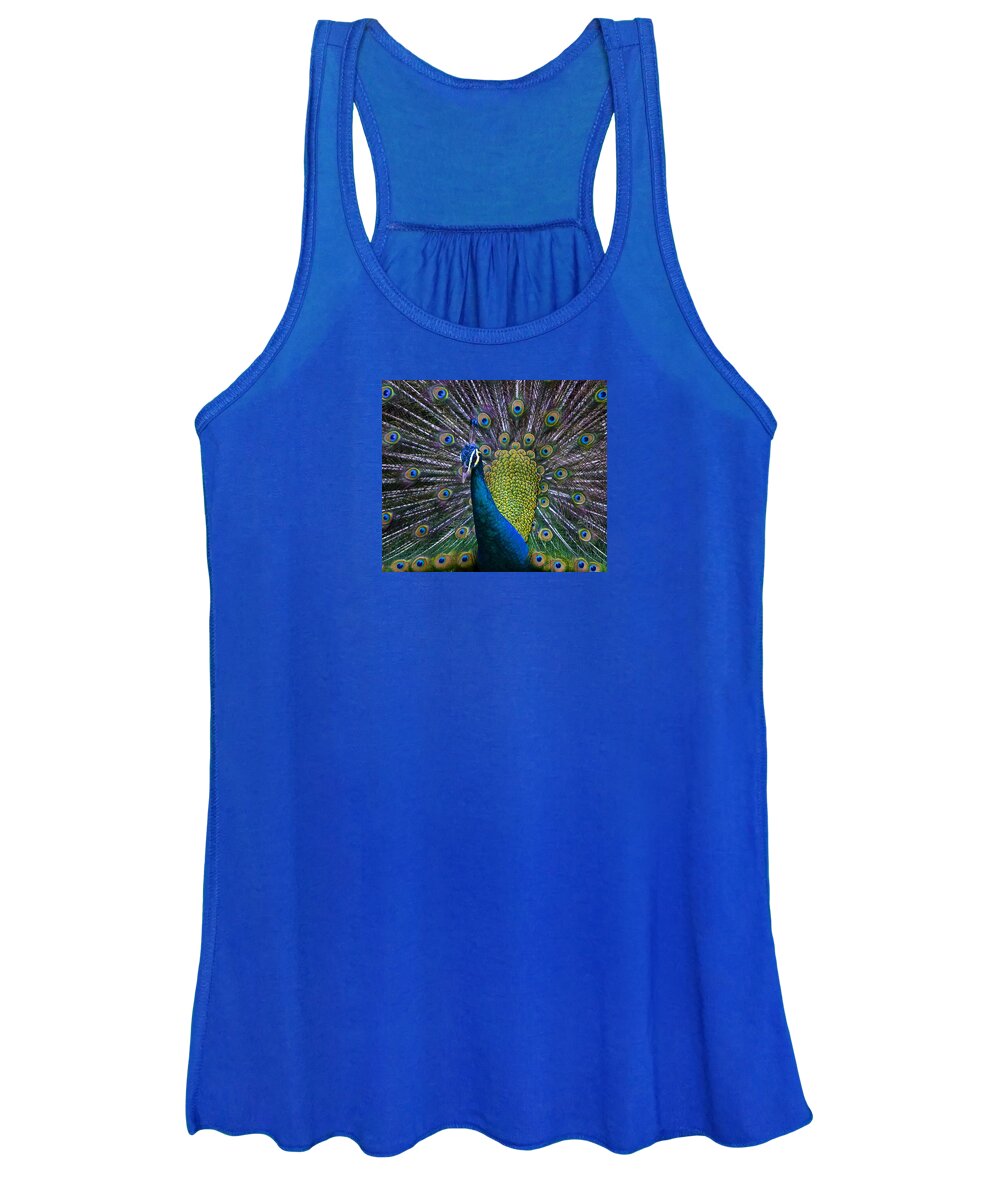 Pavo Women's Tank Top featuring the photograph Portrait of a Peacock by Venetia Featherstone-Witty
